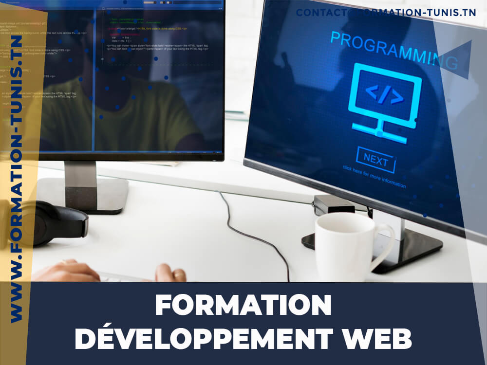 centre de formation developpeur web tunisie